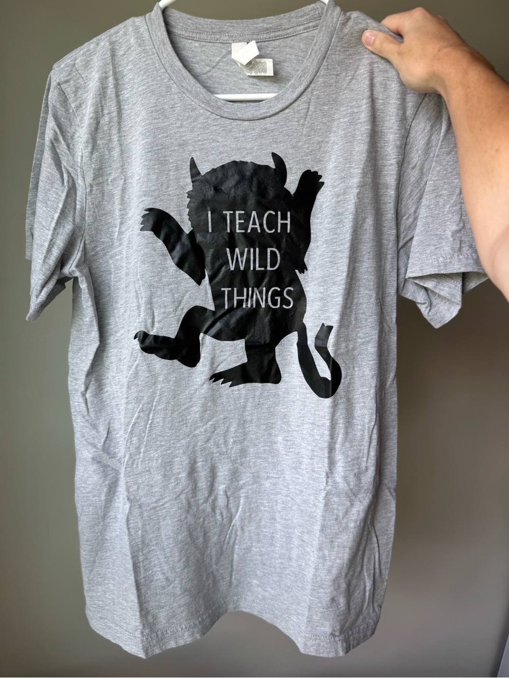 Gray Tee with 'I Teach Wild Things' Graphic